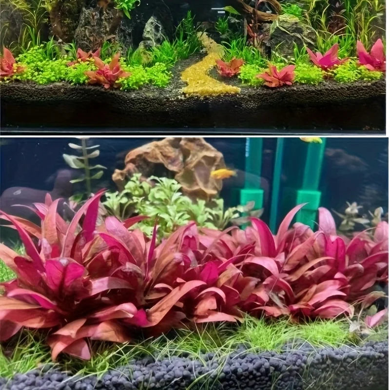 Aquarium Plant Substrate Aquatic Soil for Fish Tank Decoration and Aquascaping Essential for Aquarium Enthusiasts