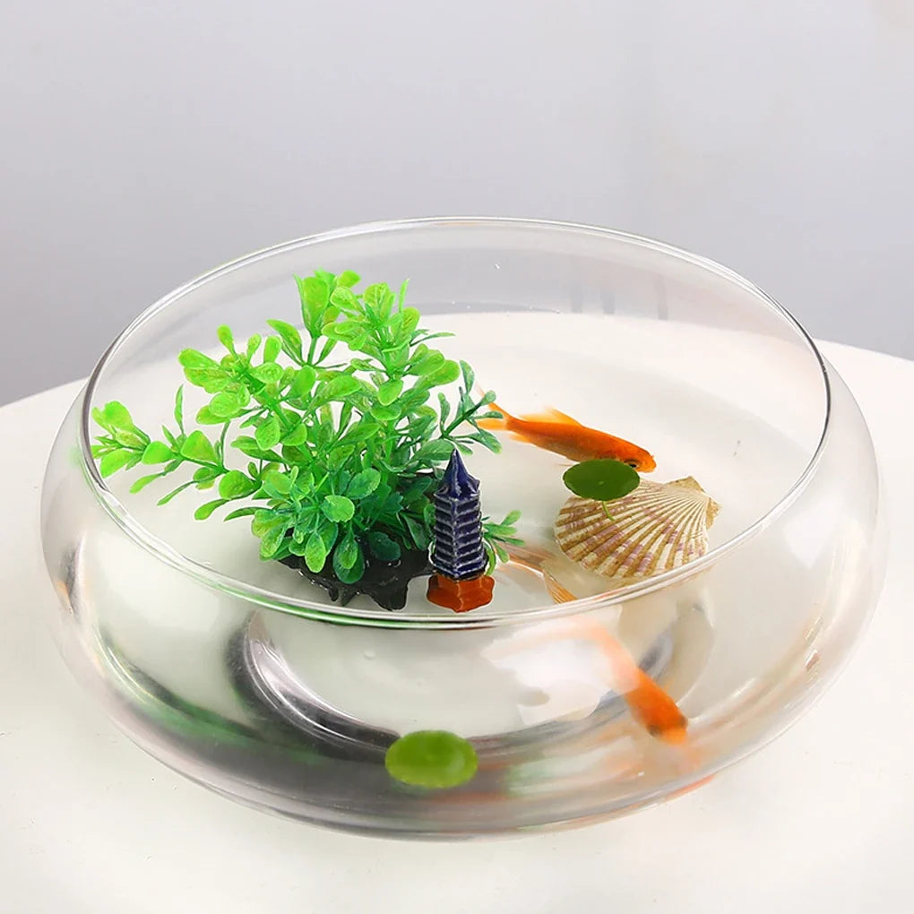 Glass Vase Bowl Wide Mouth Flower Vase Round Terrarium Glass Hydroponic Planter Floral Container Clear Fish Bowl Succulents Pot