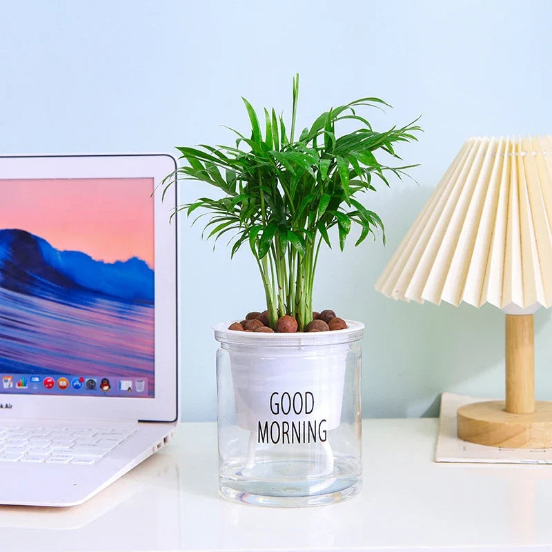 Flower Pot Automatic Water-Absorbing Flowerpot Transparent Double Layer Plastic Self Watering Planter Office