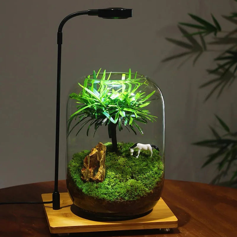 Glass fish tank, decorative vase, home, restaurant, commercial center, office desktop display for viewing