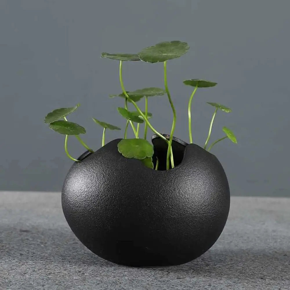 Creative Ceramic Flowerpot Broken Eggshells Shapes Decorative Succulent Plant Container Bonsai Pot Office