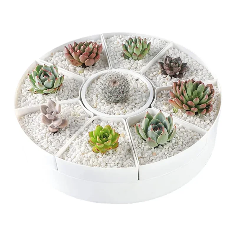 Oval shaped multiple rotatable flower pots - White succulent plant potted plant - Plant storage pot with drainage tray