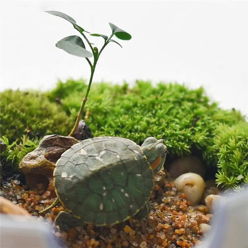 ABHZ-Hydroponic Automatic Water Absorption Succulent Flower Pot Self-Watering Flower Pot Hydroponic Lazy Flower Pot