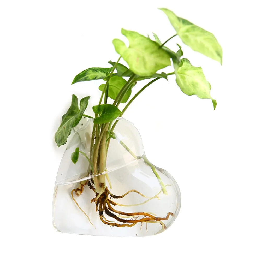 Cone Shape Wall Hanging Vase Transparent Fish Tank Wall Planter Plant Holder Aquarium Container Hydroponics Plants Flowerpot
