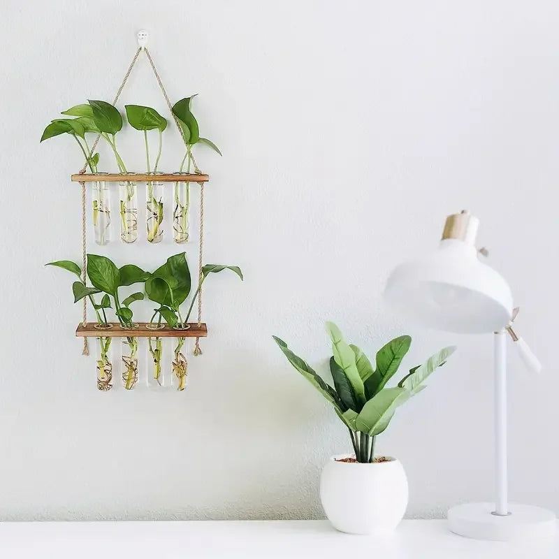 Creative green radish hydroponic plant glass transparent vase flower arrangement water flower pot hemp rope test tube wall hangi