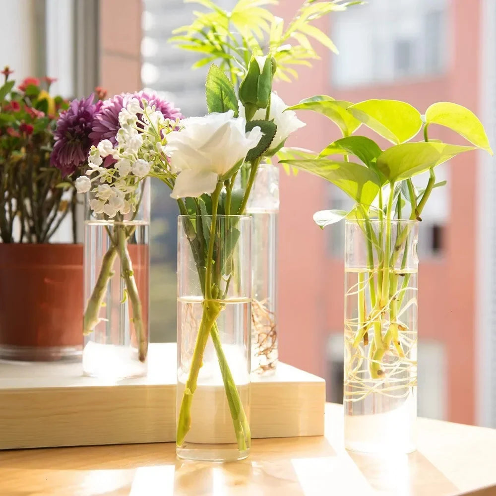 Glass Wall Vase Hanging Hydroponic Planter Wall-Mounted Flower Vases for Home Office Decor with Traceless Hook