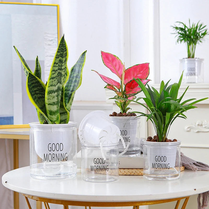 Flower Pot Automatic Water-Absorbing Flowerpot Transparent Double Layer Plastic Self Watering Planter Office