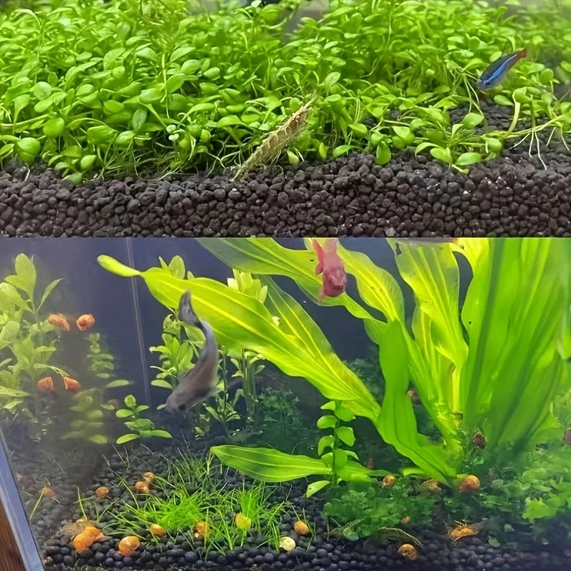 Aquarium Plant Substrate Aquatic Soil for Fish Tank Decoration and Aquascaping Essential for Aquarium Enthusiasts