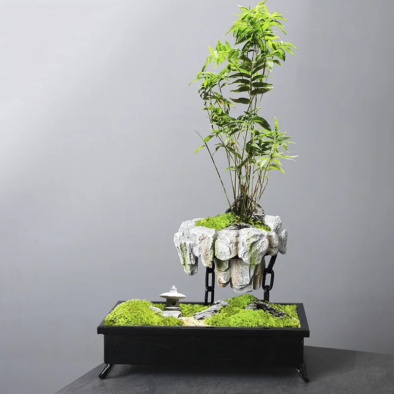 Creative Bamboo Succulent Pot Rich Tree Bonsai Iron Tree Rice Bamboo Indoor Floating Island Suspended Iron Micro Landscape Pot