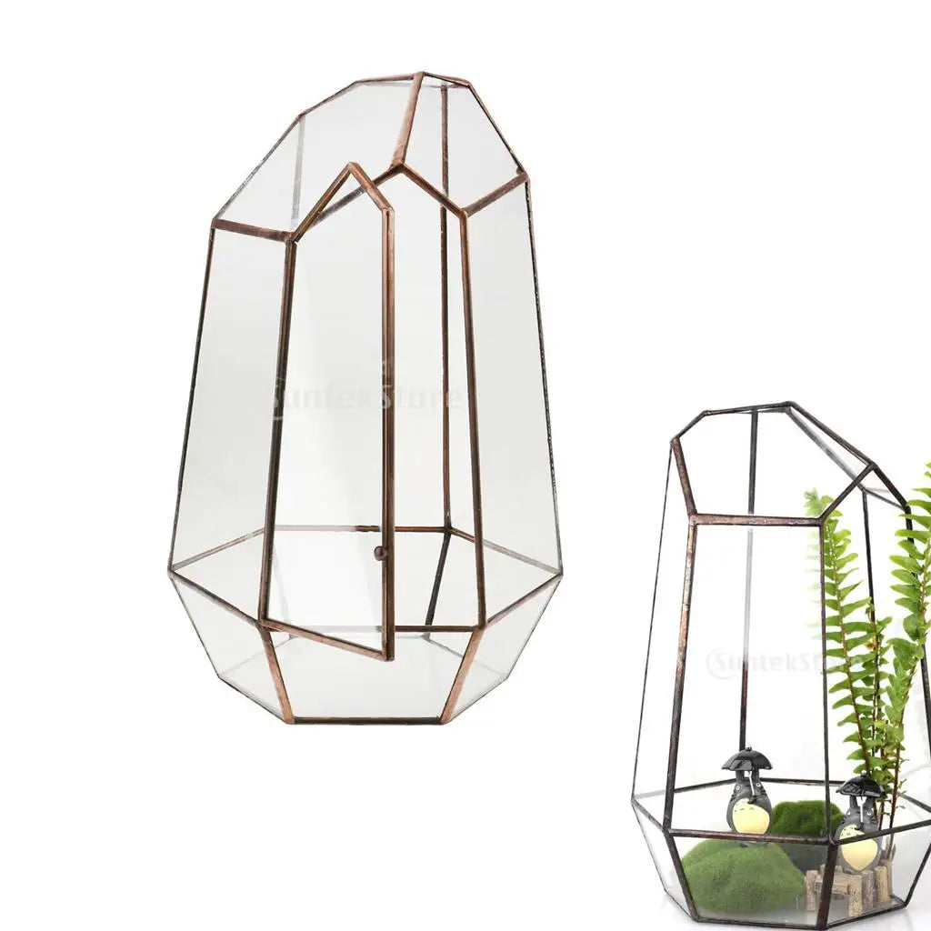 Contemporary Geometric Terrarium Irregular Glass Plant Box Tabletop Succulent Holder for Home Styling