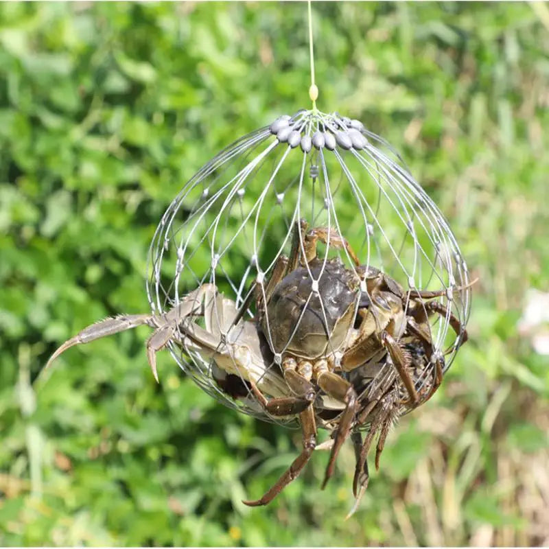 Fishing Net Cage Automatic Open Closing Wire Fish Crab Trap Net Steel Wire For Saltwater Seawater Outdoor Fishing Accessories