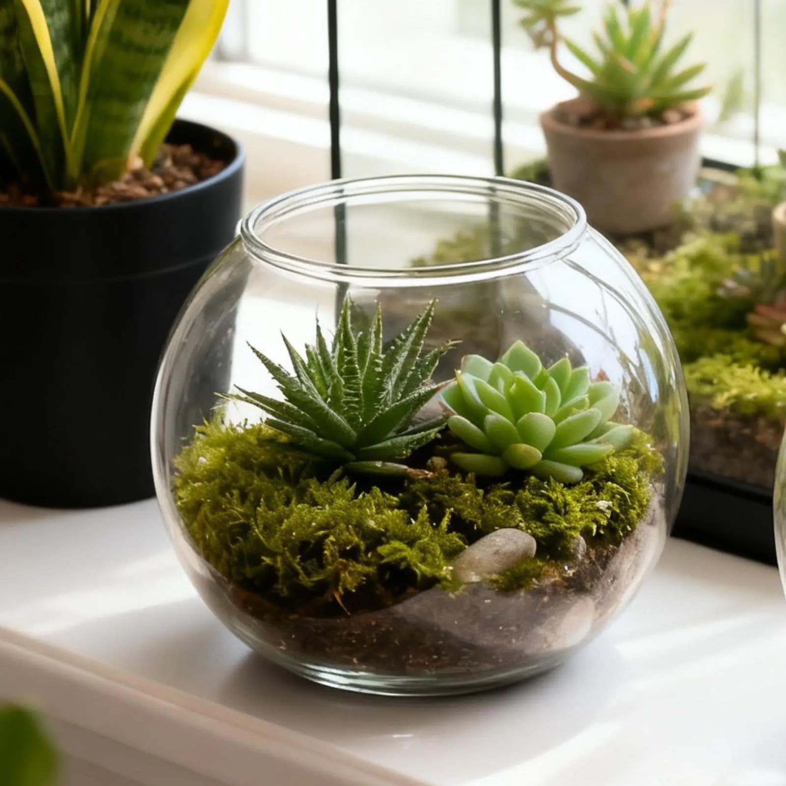 Bubble Bowl Space-Saving Aquarium Accessories Bubble Planter Bowl for Table Centerpiece Party Decorations Home Event Indoor