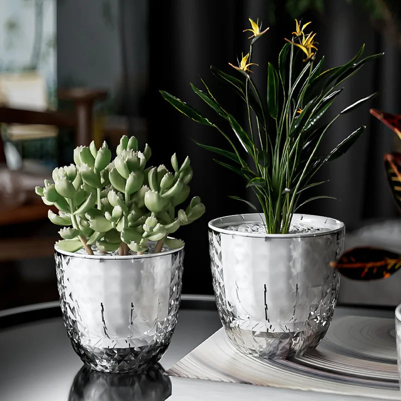 Self Watering Flowerpot Automatic Water Absorbing Flowerpot Transparent Double Layer Plastic Succulent Plant Pot Decorative Pot