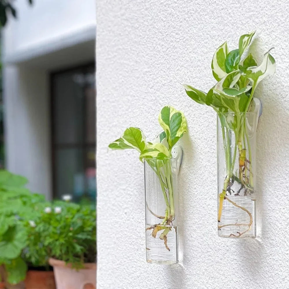 Glass Wall Vase Hanging Hydroponic Planter Wall-Mounted Flower Vases for Home Office Decor with Traceless Hook