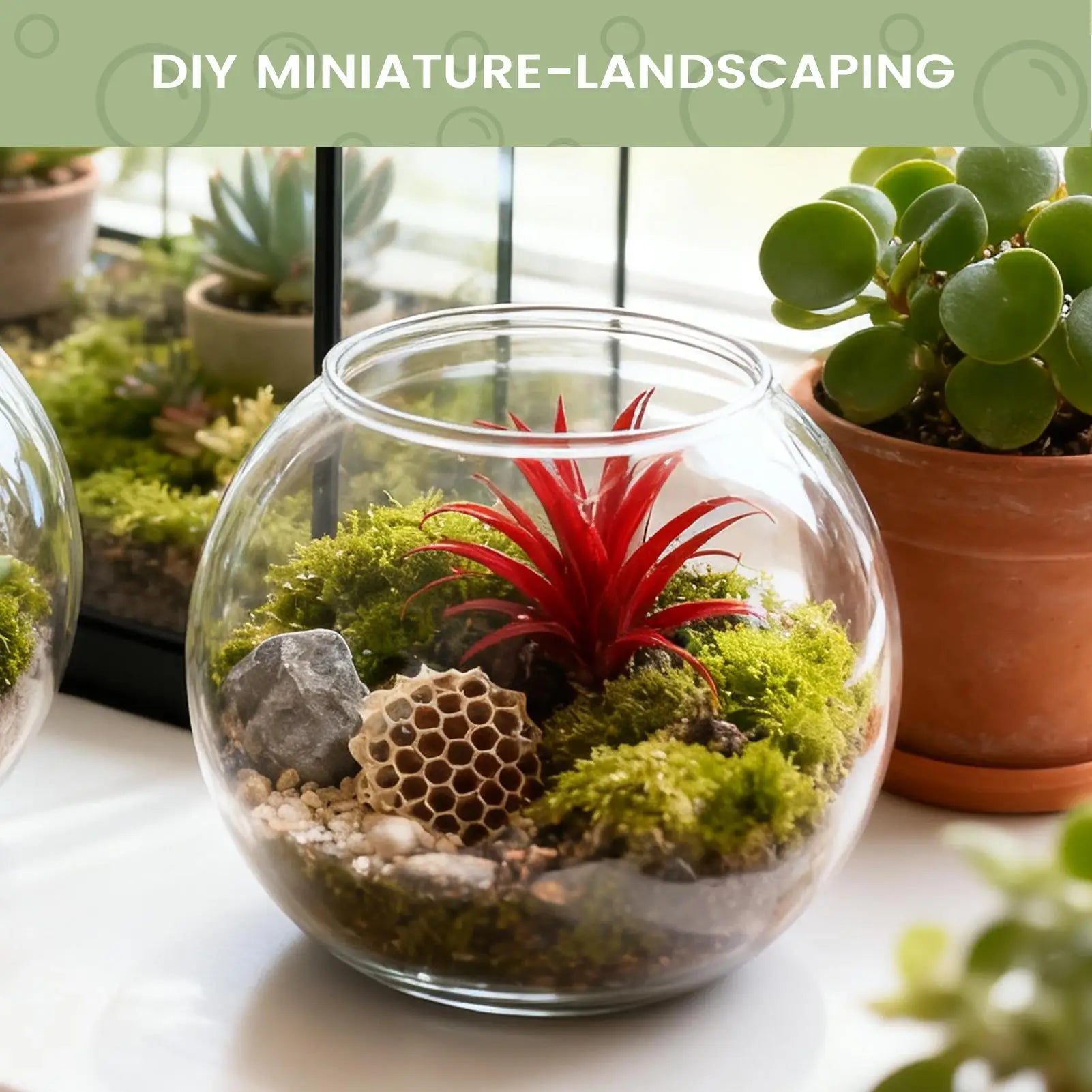 Bubble Bowl Space-Saving Aquarium Accessories Bubble Planter Bowl for Table Centerpiece Party Decorations Home Event Indoor
