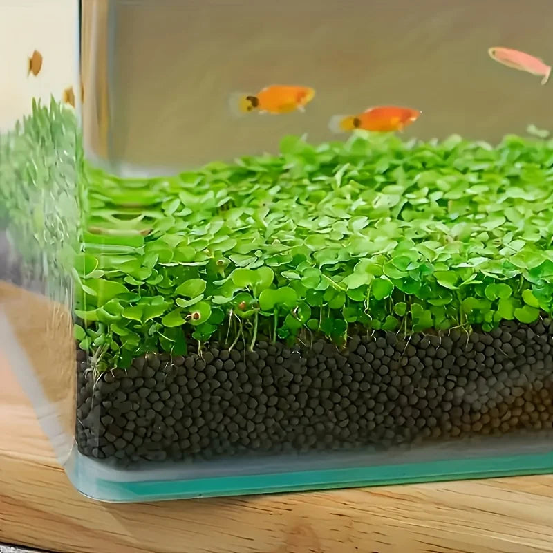 Aquarium Plant Substrate Aquatic Soil for Fish Tank Decoration and Aquascaping Essential for Aquarium Enthusiasts