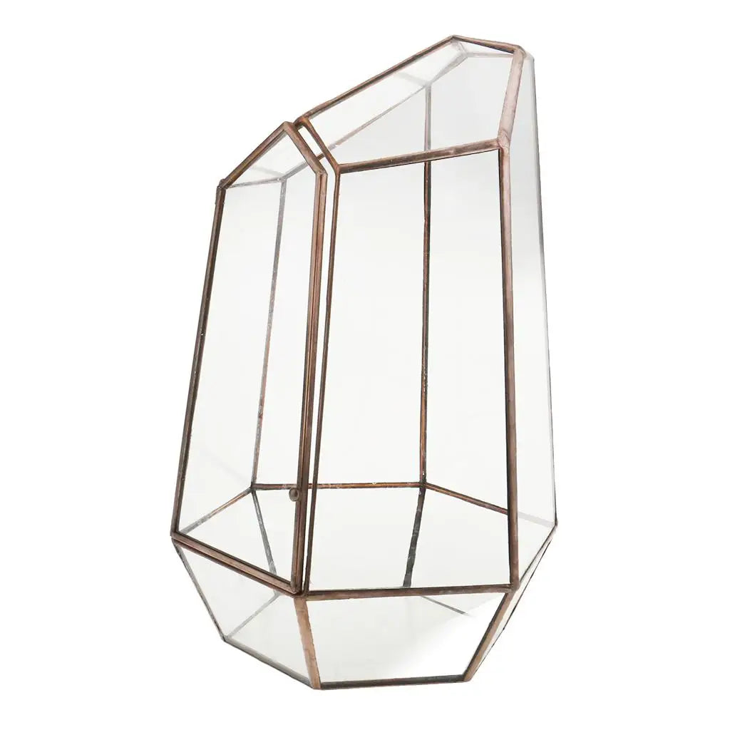 Contemporary Geometric Terrarium Irregular Glass Plant Box Tabletop Succulent Holder for Home Styling