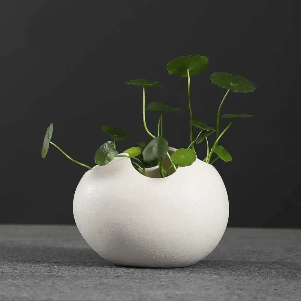 Creative Ceramic Flowerpot Broken Eggshells Shapes Decorative Succulent Plant Container Bonsai Pot Office