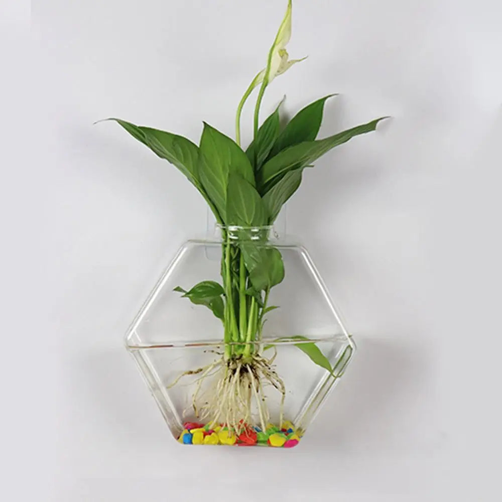 Cone Shape Wall Hanging Vase Transparent Fish Tank Wall Planter Plant Holder Aquarium Container Hydroponics Plants Flowerpot