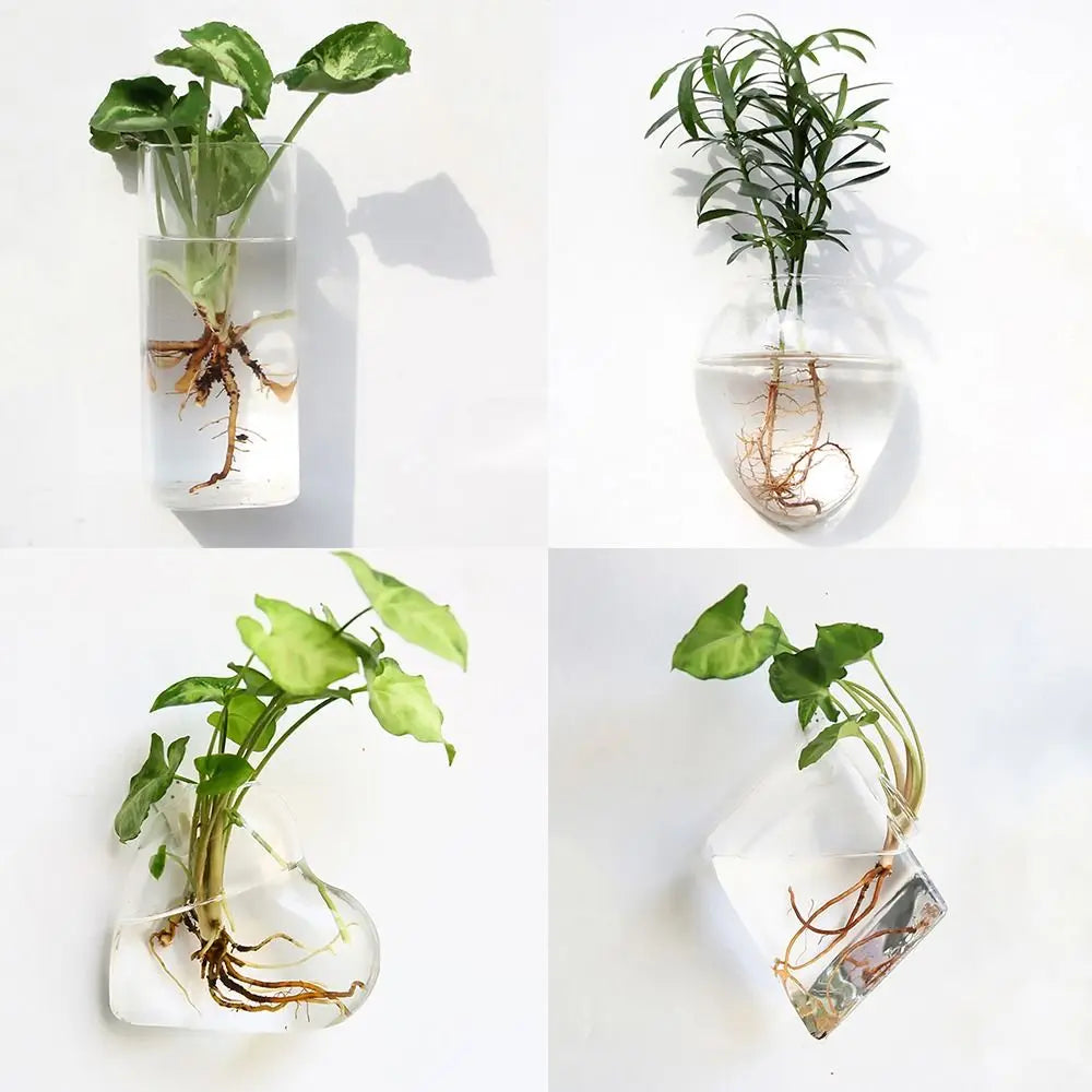 Cone Shape Wall Hanging Vase Transparent Fish Tank Wall Planter Plant Holder Aquarium Container Hydroponics Plants Flowerpot