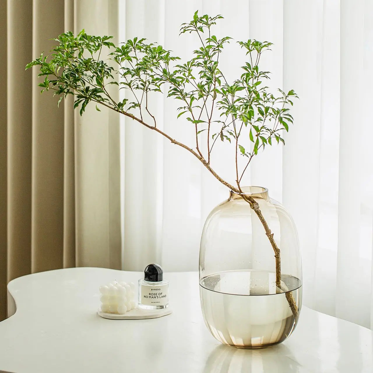 Simple Horse Drunk Wood Vase Potbelly Glass Transparent Aquatic Living Room  Flower Arrangement  Floor Utensils  Fresh Vase
