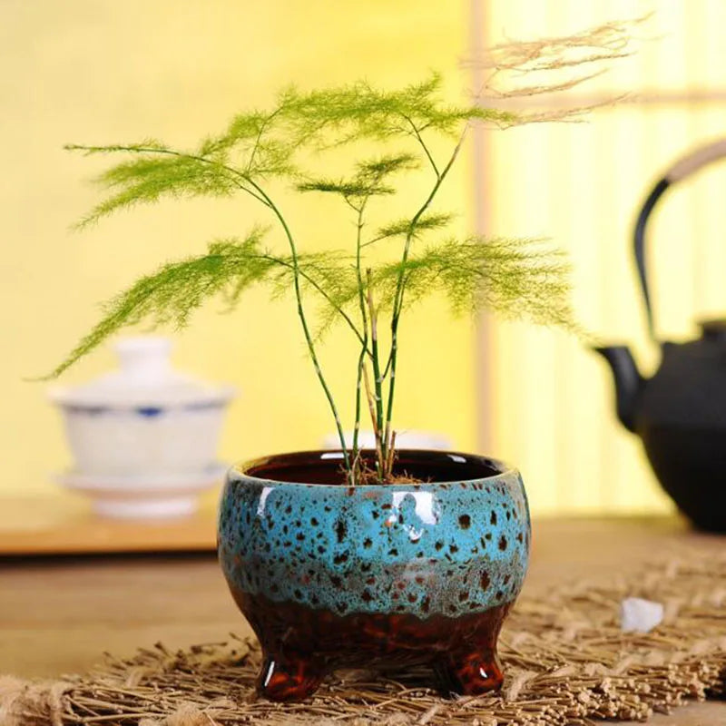 Ceramic Kiln Transmutation Plant Pot Flowerpot Bonsai Vase Planter Handmade Crafts Home Garden Decor