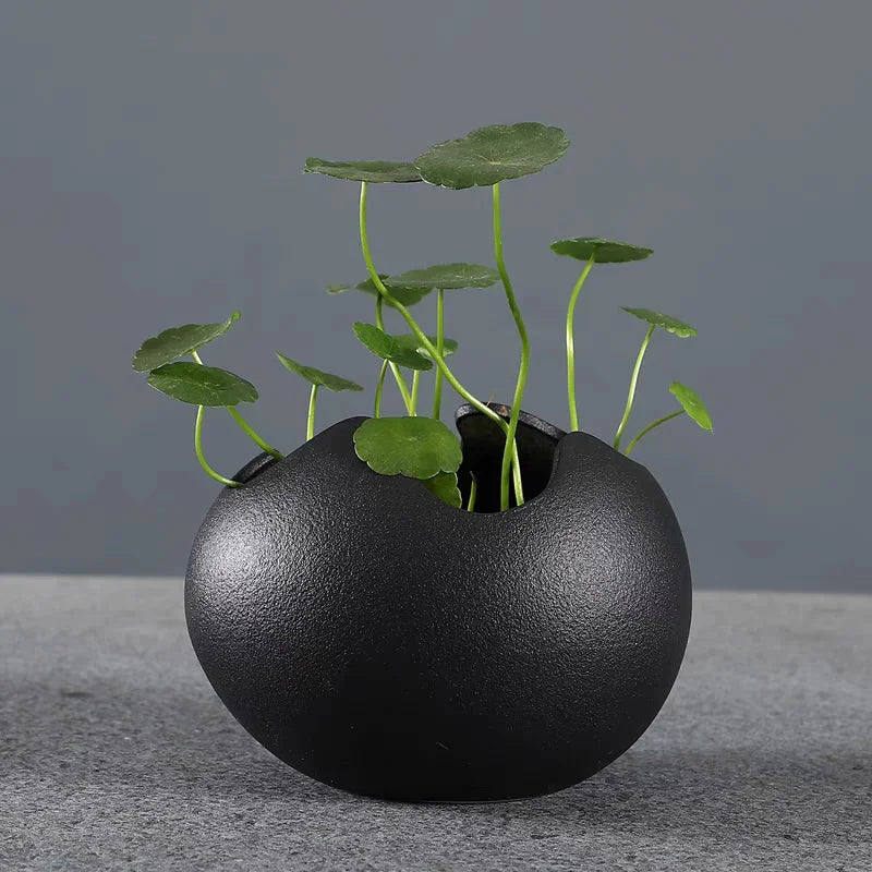 Broken Eggshells Shapes Ceramic Flowerpot Simple Succulent Plant Container Green Planter Small Bonsai Pots Home Decoration