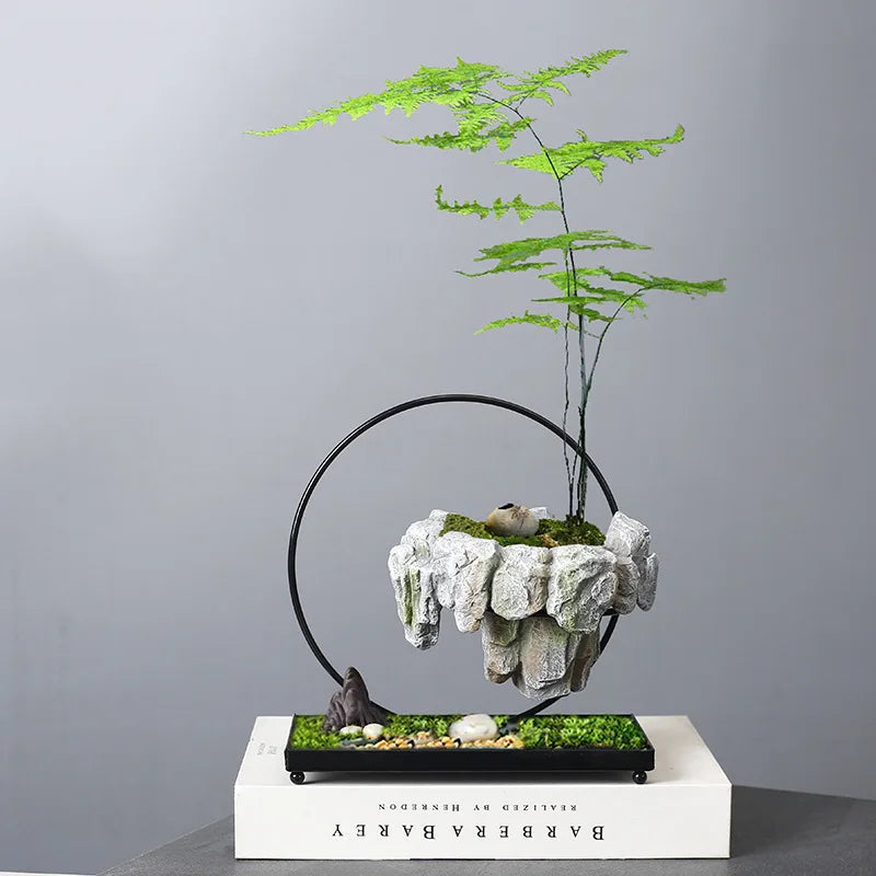 Creative Bamboo Succulent Pot Rich Tree Bonsai Iron Tree Rice Bamboo Indoor Floating Island Suspended Iron Micro Landscape Pot