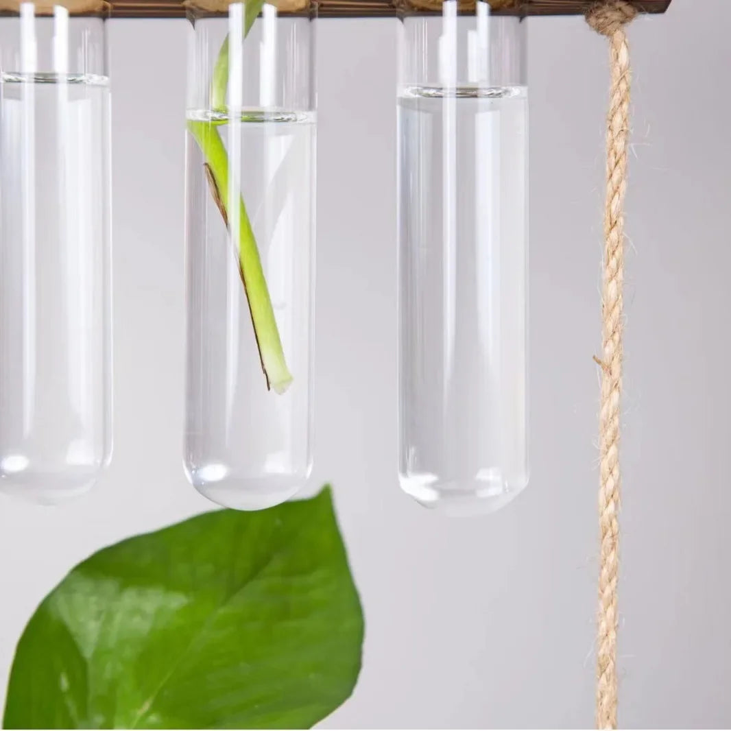 Creative green radish hydroponic plant glass transparent vase flower arrangement water flower pot hemp rope test tube wall hangi