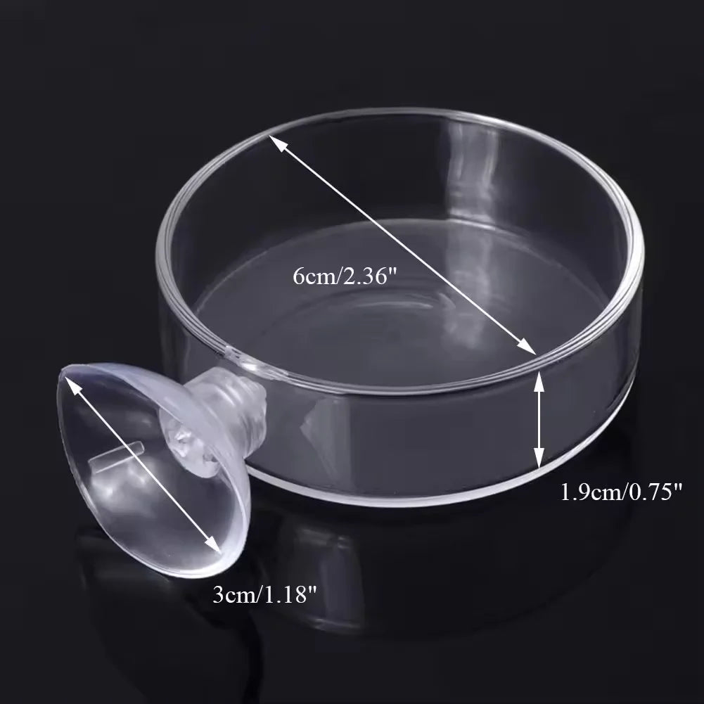 Fish Tank Feeder Aquarium Shrimp Glass Feeding Bowl Clear Dish Tray Container Feeders Aquarium Round  Square Fish Shrimp Feeding