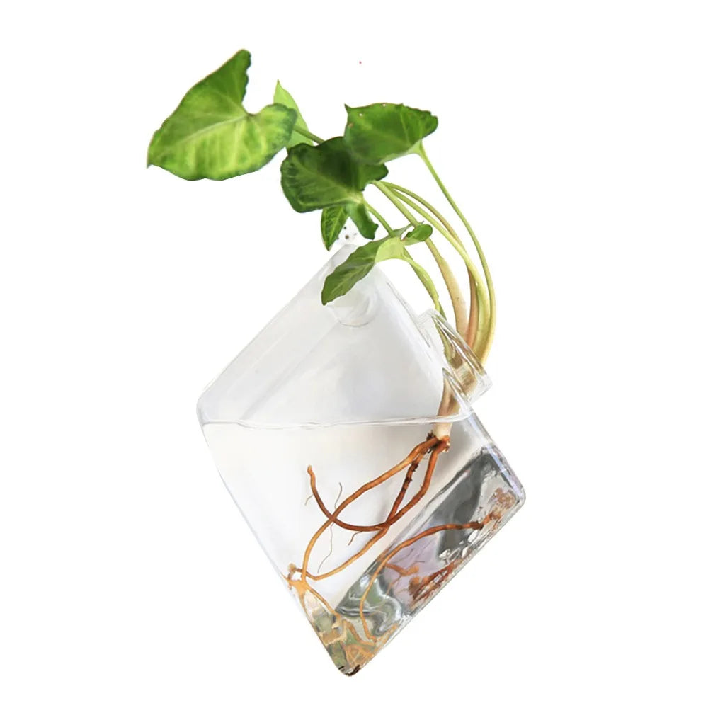 Cone Shape Wall Hanging Vase Transparent Fish Tank Wall Planter Plant Holder Aquarium Container Hydroponics Plants Flowerpot