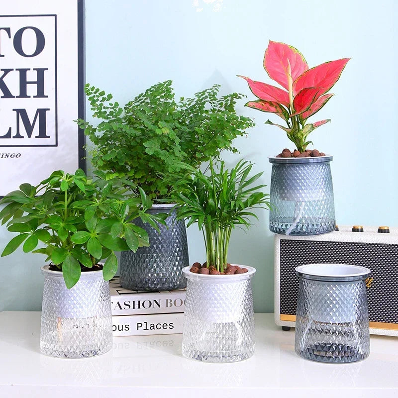 Self Watering Plant Pots, Lazy Hydroponic Water Absorbing Flower Pot, Mini Succulent Planter Tabletop Vase, Home Bonsai Decor