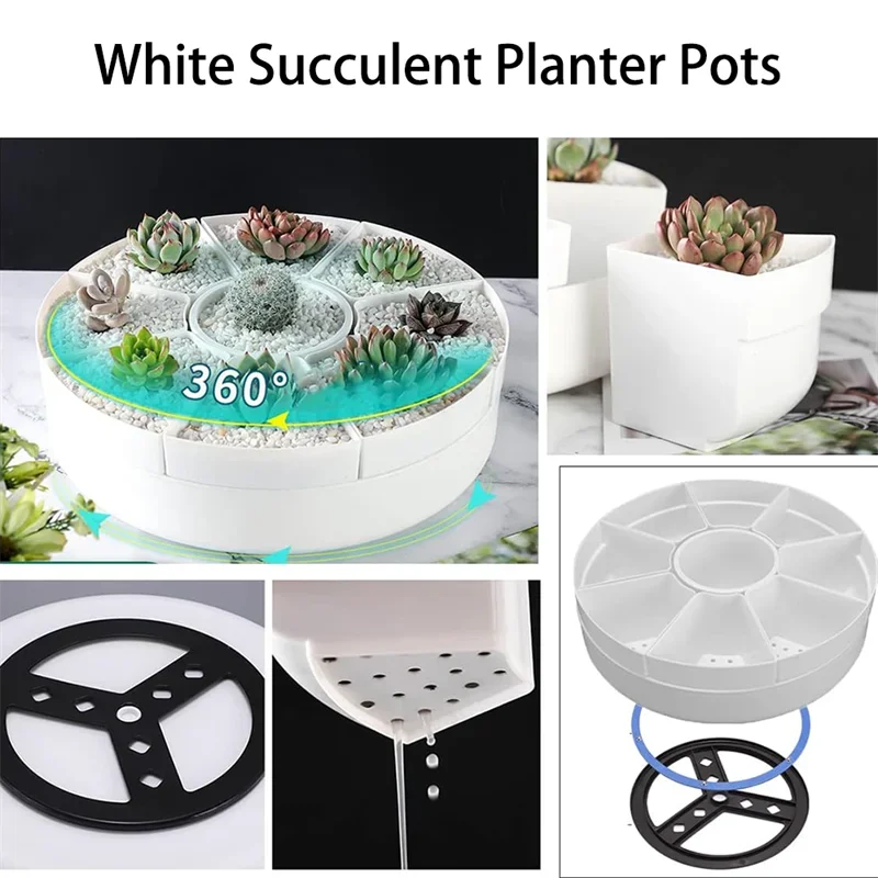 Oval shaped multiple rotatable flower pots - White succulent plant potted plant - Plant storage pot with drainage tray