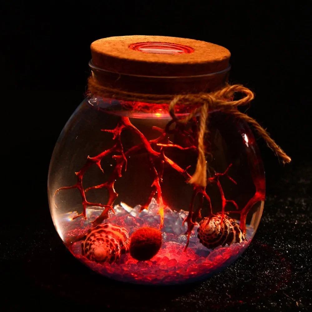 Round Glass Jar Terrarium with Colorful LED Light Cork Micro Landscape Ecological Bottle Night Lights