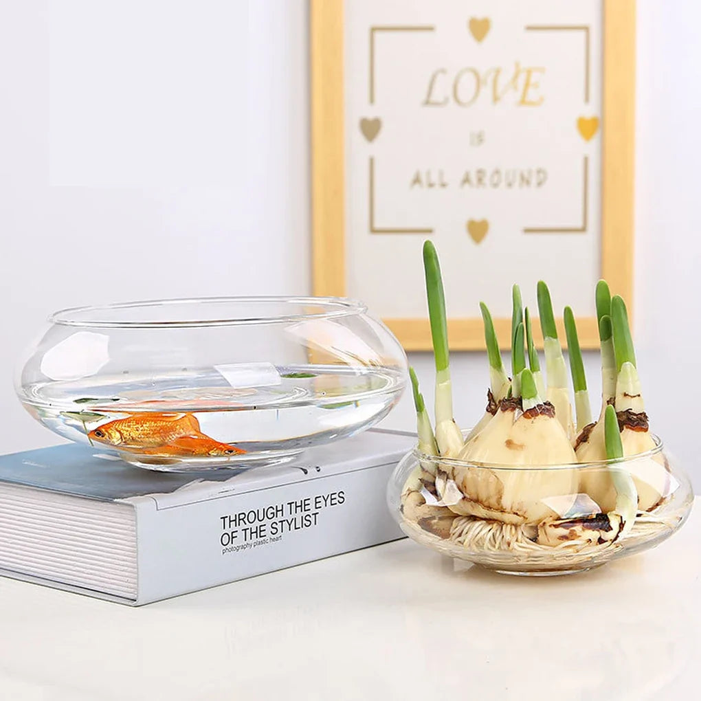 Glass Vase Bowl Wide Mouth Flower Vase Round Terrarium Glass Hydroponic Planter Floral Container Clear Fish Bowl Succulents Pot