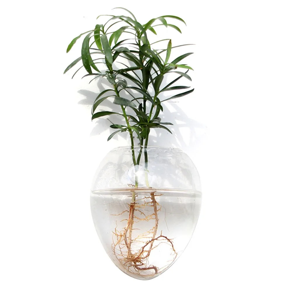 Cone Shape Wall Hanging Vase Transparent Fish Tank Wall Planter Plant Holder Aquarium Container Hydroponics Plants Flowerpot