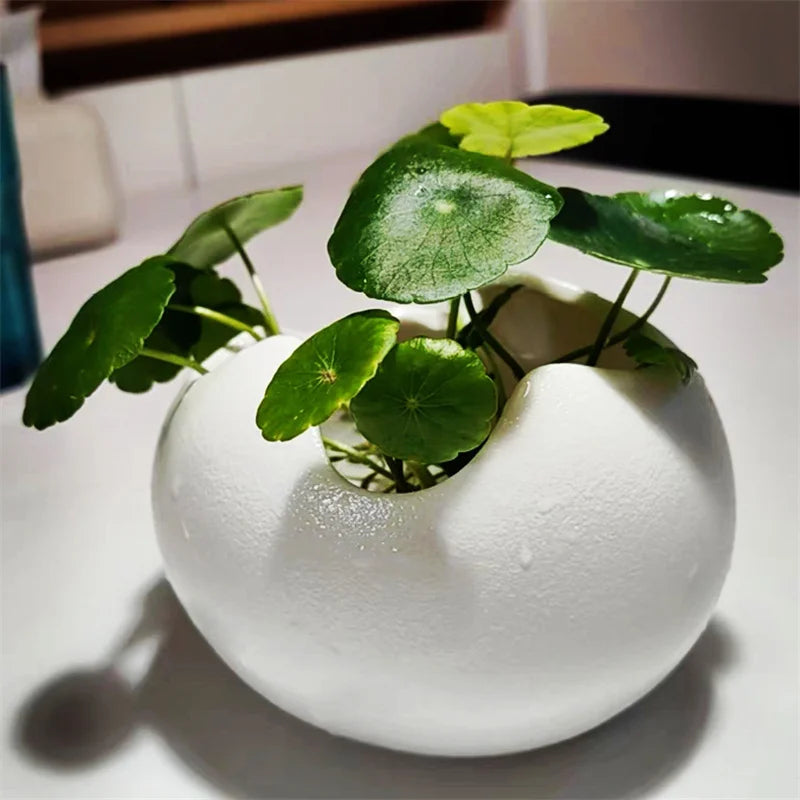 Broken Eggshells Shapes Ceramic Flowerpot Simple Succulent Plant Container Green Planter Small Bonsai Pots Home Decoration