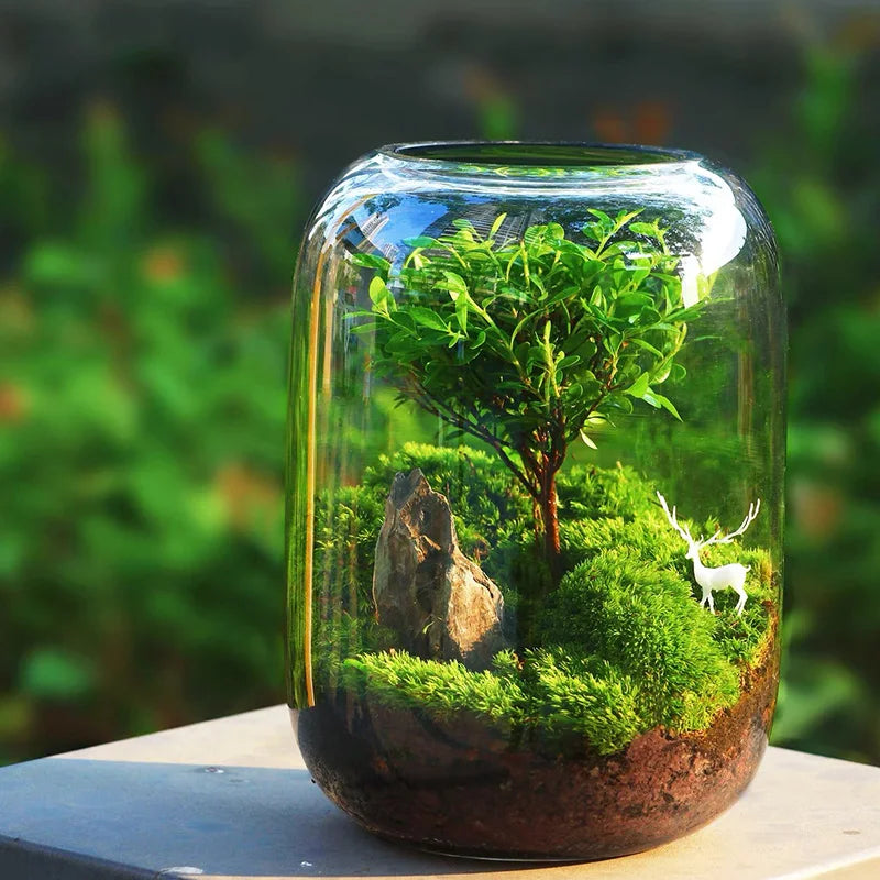 Glass fish tank, decorative vase, home, restaurant, commercial center, office desktop display for viewing