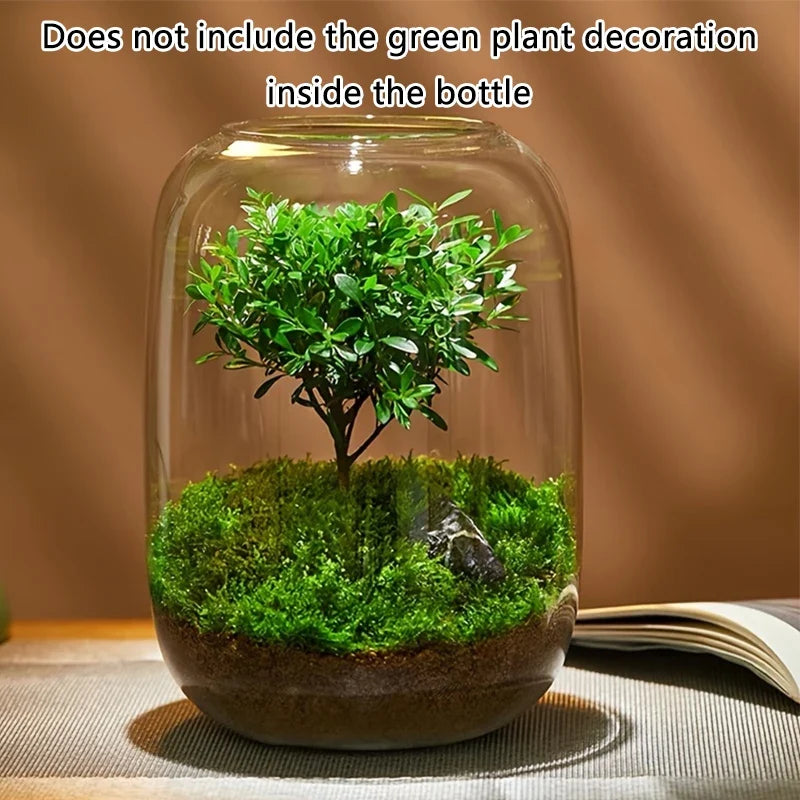 Glass fish tank, decorative vase, home, restaurant, commercial center, office desktop display for viewing