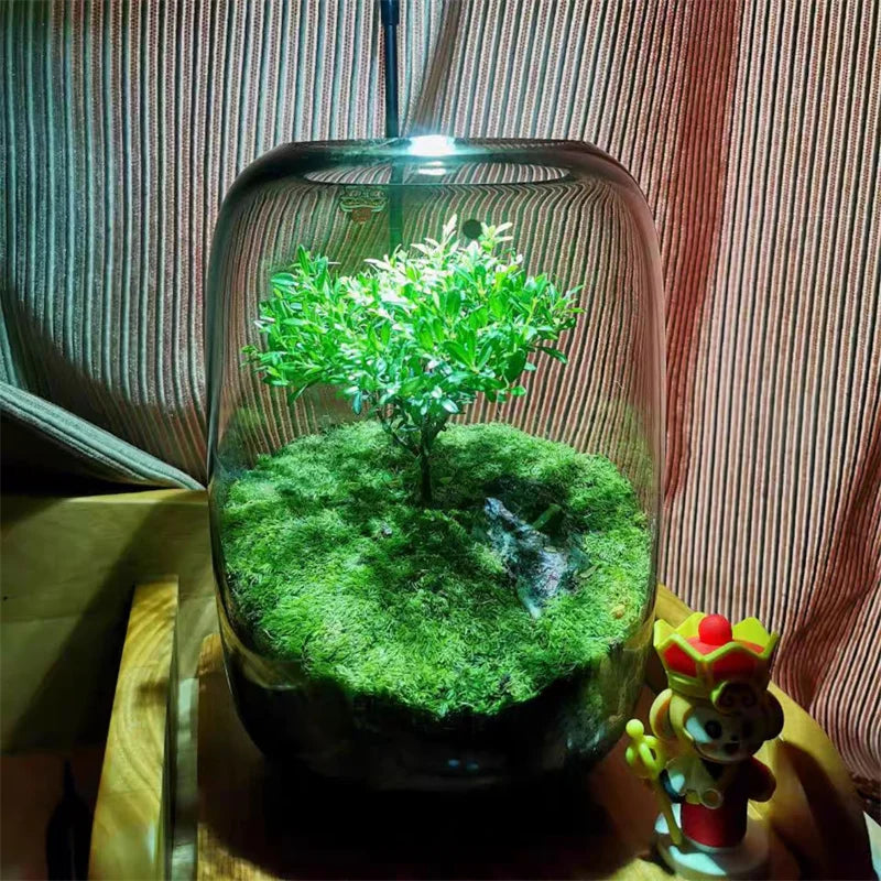 Creative Grey Glass Bottles Moss Landscaping Bottle Succulent Glass Vase Hydroponic Container Micro Landscape Glass Terrarium