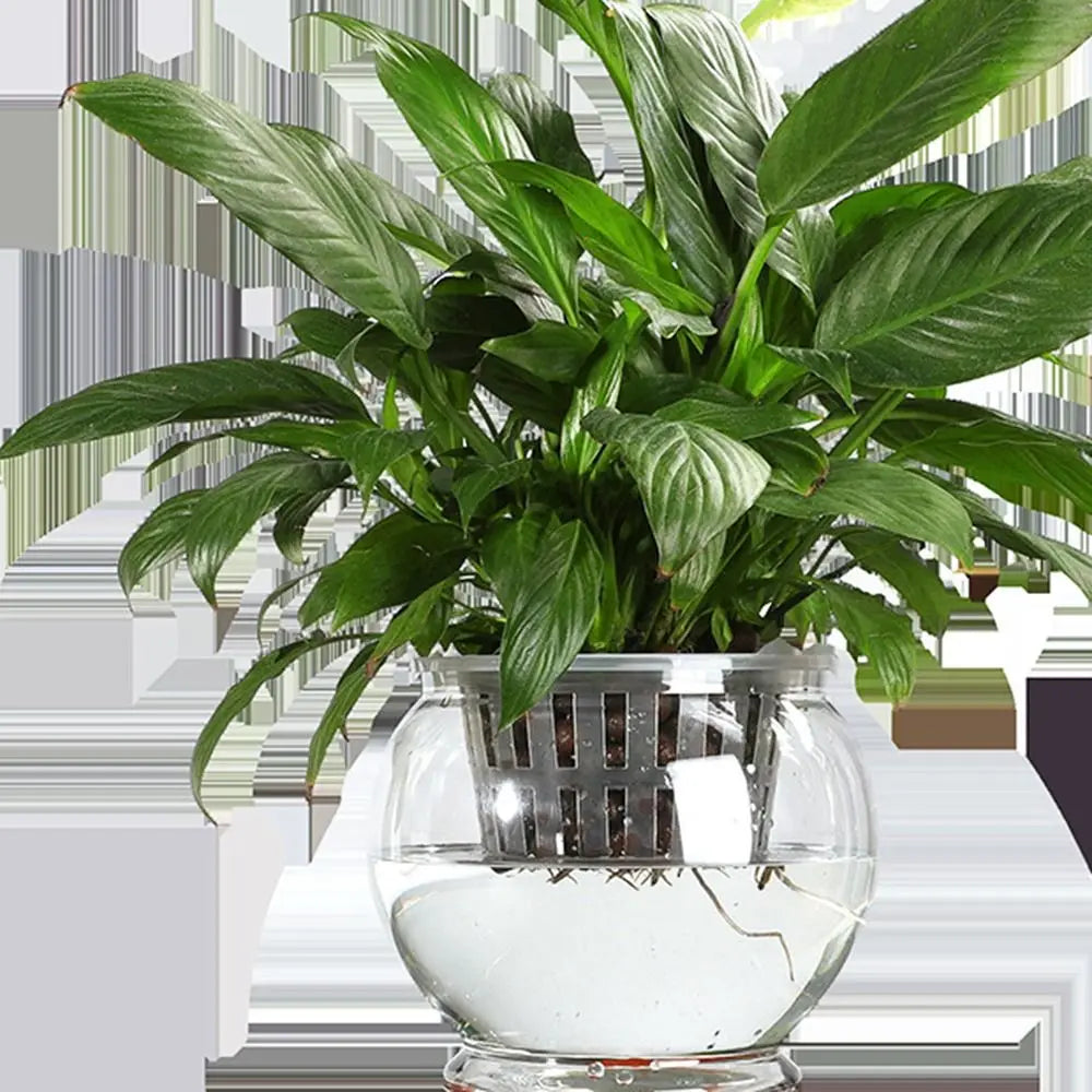 Durable Self Watering Lazy Plant Pot Including Liner Garden Supplies Soil Flower Pot with Handle Potted Flower Pot