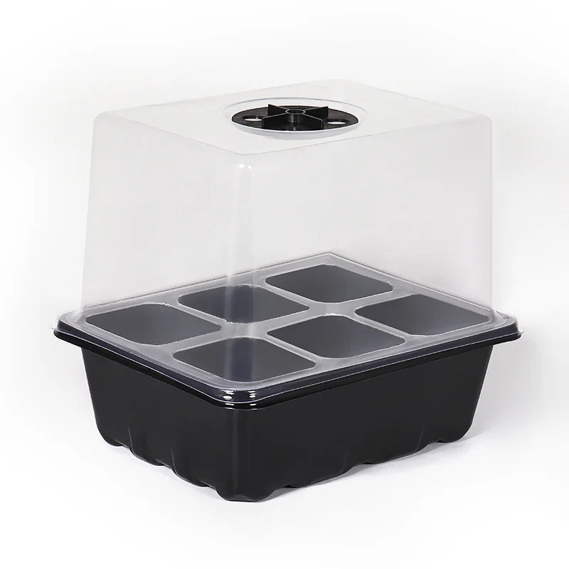 Heightened Three-Piece Set Seedling Box 6/12 Hole with Lid Succulent Vegetable Breeding Pot for Gardening And Plant Care